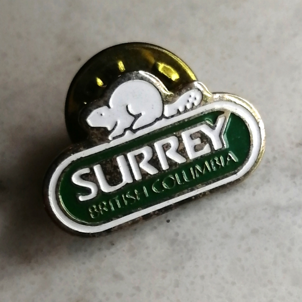 Vintage Surrey Pin
